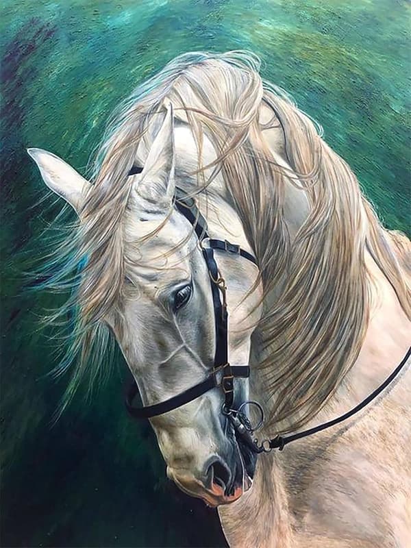 5D Diamantmaleri Sæt 30x40cm DIY Farverig Hest Diamantkunst Sæt