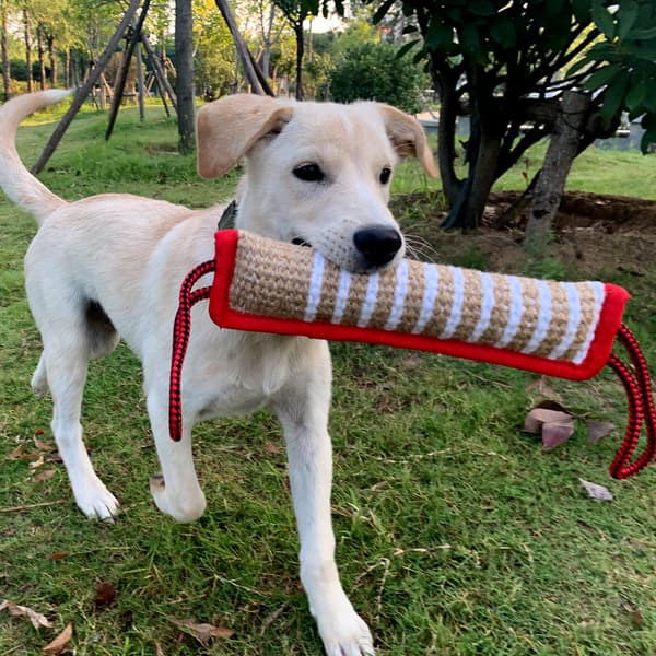 32cm, (rød binding) Jute Hundebittesokk, Ekstra Solid, Slitesterk Hund B