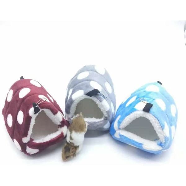 Hamster Hamster Smådjur (Bordeaux, L)