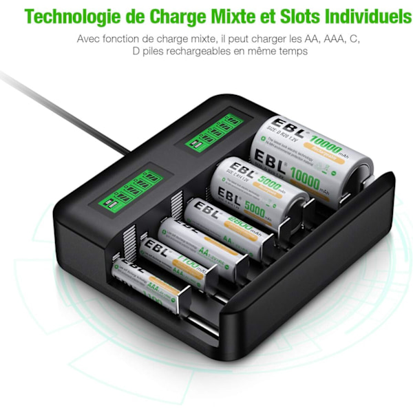 Universal LCD Batteriladdare, Laddare för Uppladdningsbara Batterier AA/HR6, AAA/HR3, C/HR14, D/HR20 Ni-MH NiCD med Typ C Micro USB Ingång, 9008 Laddare