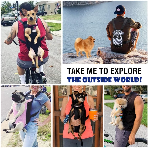 Ryggsäck för husdjur, justerbar ryggsäck för husdjur framtill, ryggsäck för katt och hund, säker reseväska