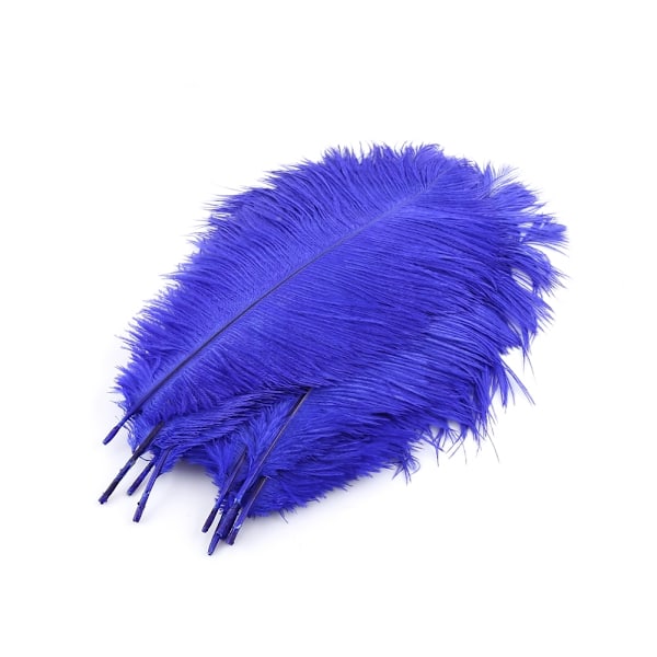 10pcs natural male ostrich feathers 25-30cm/10-12inch Large fluff Blue