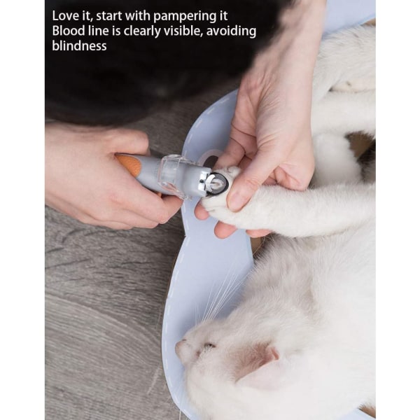 Led Light Anti-Blood Position Manicure Supplies Cat Dog