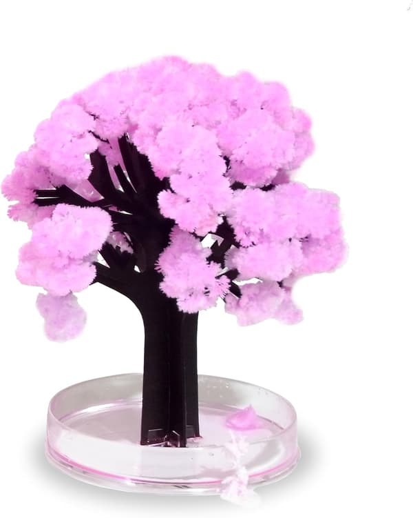Thumbs Up Bonsai Magisk Sakura