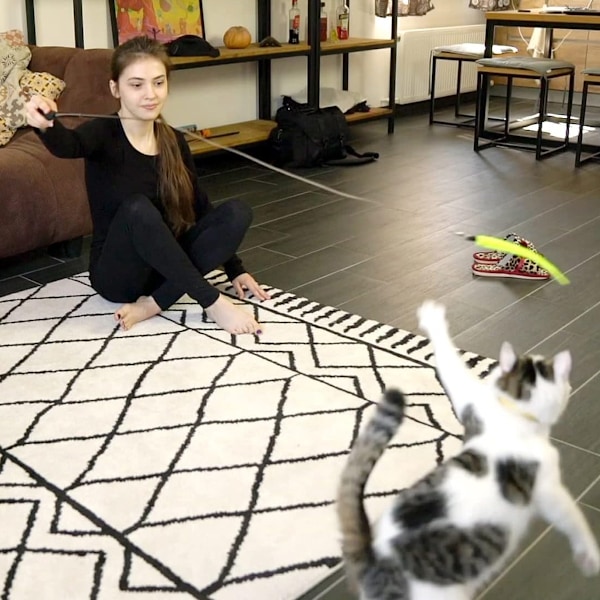 Interaktiva Kattleksaker, Flexibel Kattspöleksak av Eko-material, Retleksaker som Triggar Jaktinstinkten, Lämplig För Katter i Alla Åldrar och Storlekar