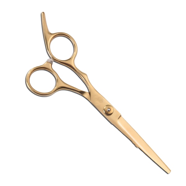 6\" Professionelle frisørsakse til klipning af hår i salonen