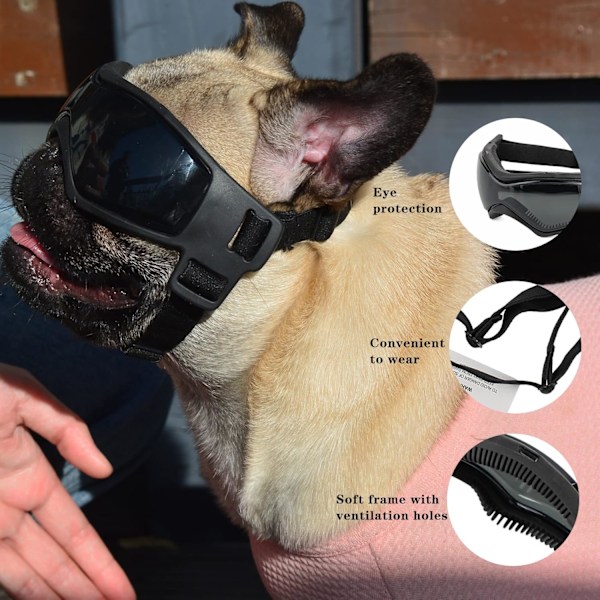 Hundsolglasögon Små Raser, Snösäkra Bekväma Anti-imskydd Husdjursglasögon Skydd med Justerbar Rem för Chihuahua Malteser