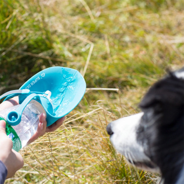 Bærbar Hundedrikkflaske i Silikon med Lanyard (blå)