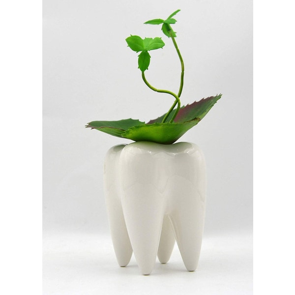 Keramisk tannblyant Tannbørsteholder Potte Kjøttplantepotte Hjem