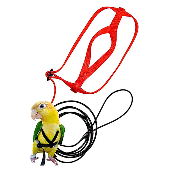 Sele för sällskapsfåglar, vacker lättviktsdesign, justerbar flygsele för fåglar, ergonomiskt handtag för parakiter, conures och andra