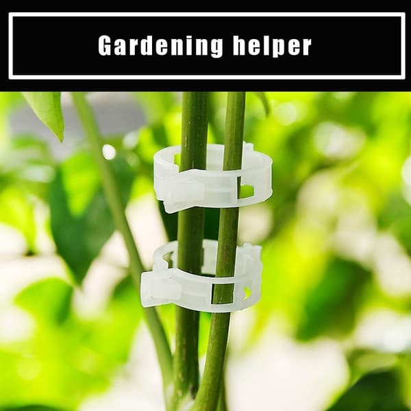 Haveplanter til tomater, roser, agurker og andre planter, 10