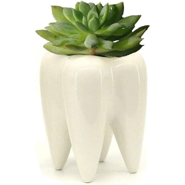 Keramisk tannblyant Tannbørsteholder Potte Kjøttplantepotte Hjem