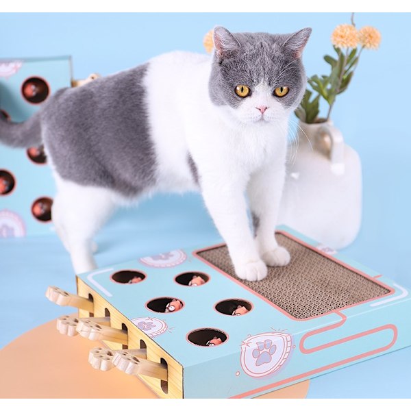 Kattberikningsleksaker, Giftfri 5-håls Labyrint Slå Hamster-spel, Inomhusleksak för Stressfri Smidighetsträning och Mental Stimulering