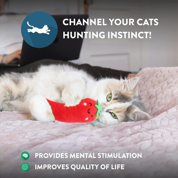 Cat Toy Interactive Cat Toy, kattemynteleker for katter, kattetyggleke, kattemynteleker