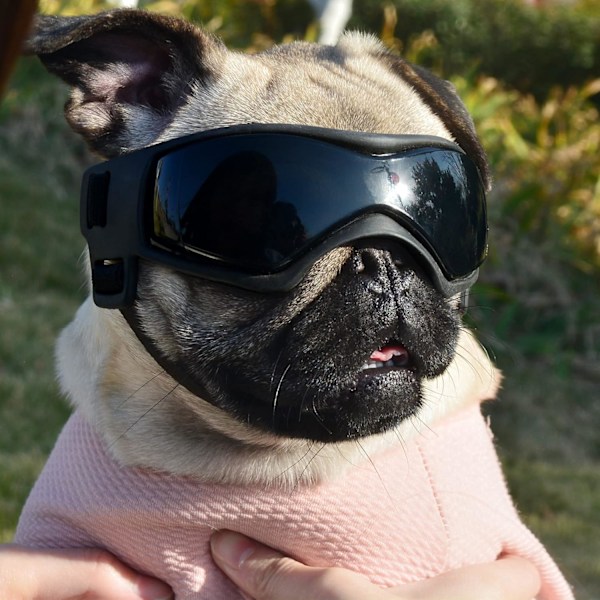 Hundsolglasögon Små Raser, Snösäkra Bekväma Anti-imskydd Husdjursglasögon Skydd med Justerbar Rem för Chihuahua Malteser