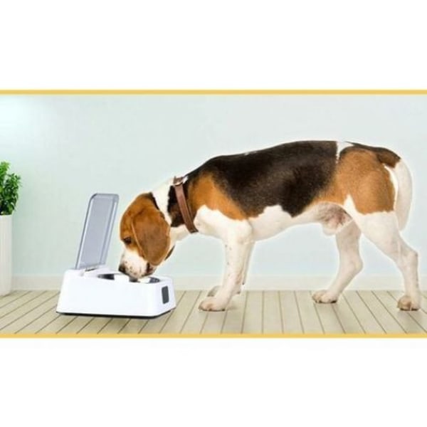 Smart Kattmatskål med Digital Display, Använder IR-Induktion för Smidiga Matningsupplevelser och Förhindrar Halkning