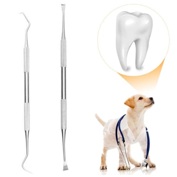 Professionelt tandværktøj, hundetandtandskaller og -skraber