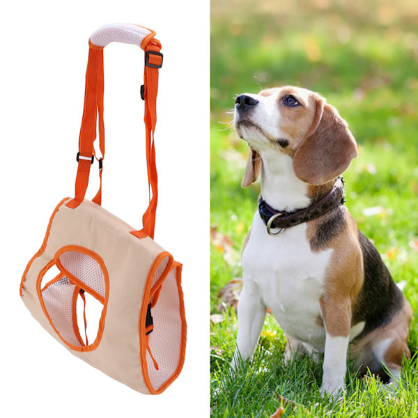 Pet Front Leg Assist Belt Breathable Comfortable Dog Assist Belt for Injured DogL