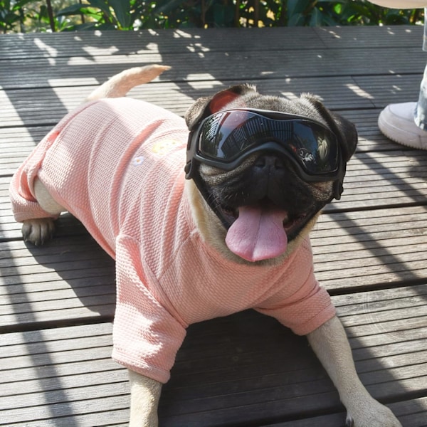 Hundsolglasögon Små Raser, Snösäkra Bekväma Anti-imskydd Husdjursglasögon Skydd med Justerbar Rem för Chihuahua Malteser