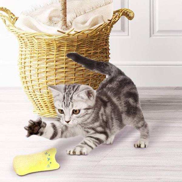 Kattmyntaleksaker, interaktiva plyschleksaker för katter, 5 st kattmynttuggleksaker