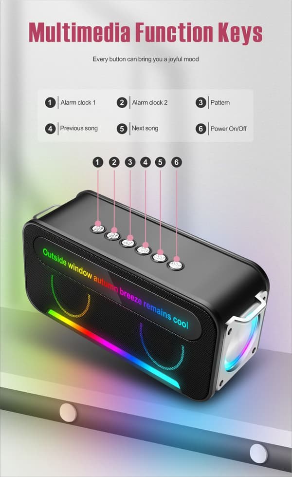 K9 Svart Bärbar K-Sång Bluetooth-högtalare, med Trådlös Mikrofon, Handhållet Utomhus Multifunktionsljudsystem