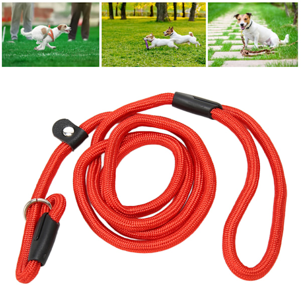 Hunde Loop Line Super Blød Flettet Nylon Robust Hundeline til Hunde Hvalpe Udendørs Rød