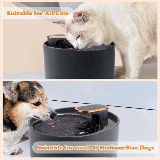 Cat Fountain 3L - Silent, with filter, water pump, USB & EU adapter (blue-black)