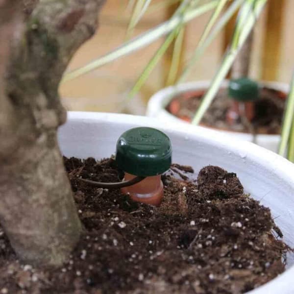 Vannkanner for potteplanter (6 stk)