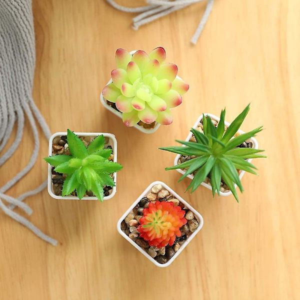 Falske kunstige sukkulentplanter i hvite mini firkantede potter for hjemmehagedekor grønn (4 stk. plastblomsterpotte)