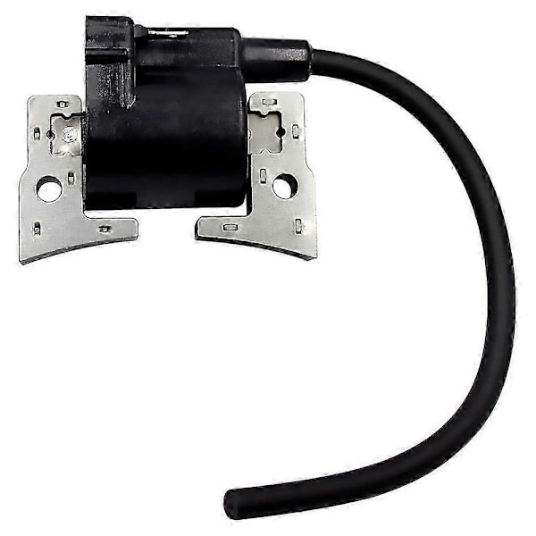 Tändspole 21171-2207 kompatibel med FE290D FE290R FE350D FE400D GE4300A GE5000A Separat Tändare Typ