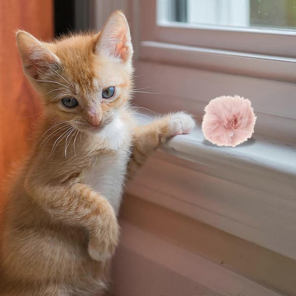 Assorterede farvede kattelegetøj til indendørs katte 20 stk. fluffy bolde killing