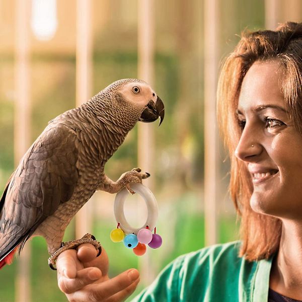 Parrot Natural Big Bird -lelu, Papukaija DIY kädessä pidettävä interaktiivinen lelu, Ara Jalkalelu 4 kpl, Satunnaiset värit