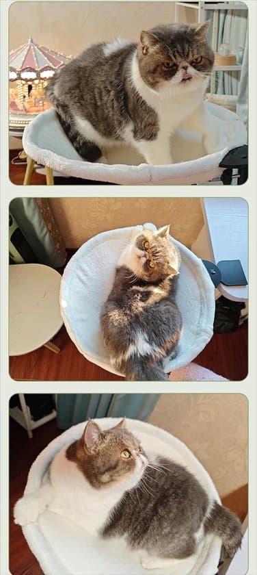 Cat Hammock for Desk - 1 Piece - 40cm Loop Diameter - Soft Fabric Cat Bed - Suitable for Office Desks and Indoor Cat Beds - White