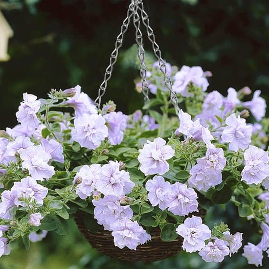 Blomsterpottekjede - Plassbesparende - Sett med 6 - Høykvalitetsjern
