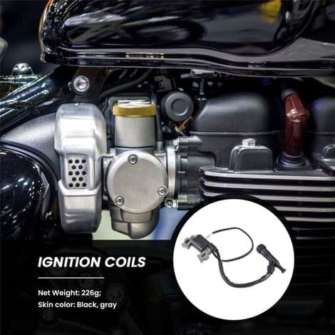 Tändspole för 5.5HP 6.5HP 168F bensingeneratormotor