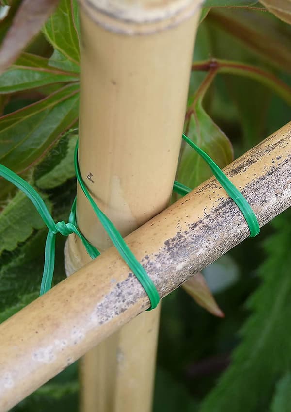 Plastificeret jerntråd 100m Vl havebindere til ligaturer, grøn