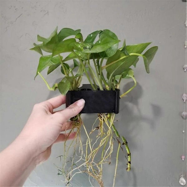 Hengende Akvarie Plantestativ Akvatisk Plantepotte Akvarium Flytende Plante Vannlandskapsdekorasjon