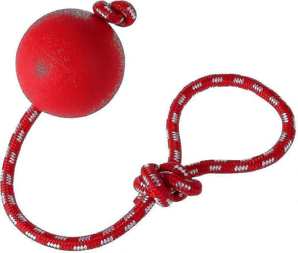 Reblegetøjsbold til hunde, 3 stk. tyggelegetøj til katte, gummiboldreblegetøj til hunde
