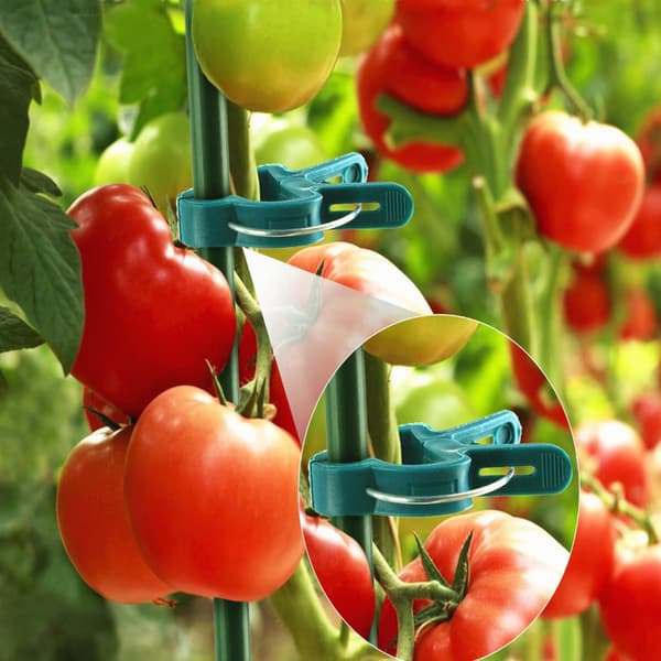 40-piece Garden Clip Set, 20 Large + 20 Small Clips for Plant Support
