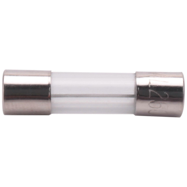 10 stk 250V 10Amp Langsom Blæs Tidforsinkelse Glassikringer Rør 5mm x 20mm