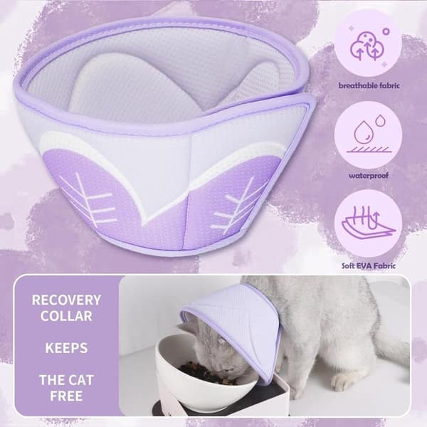 Cat Collar - Protective Collar Cat - Collar Cat Surgery