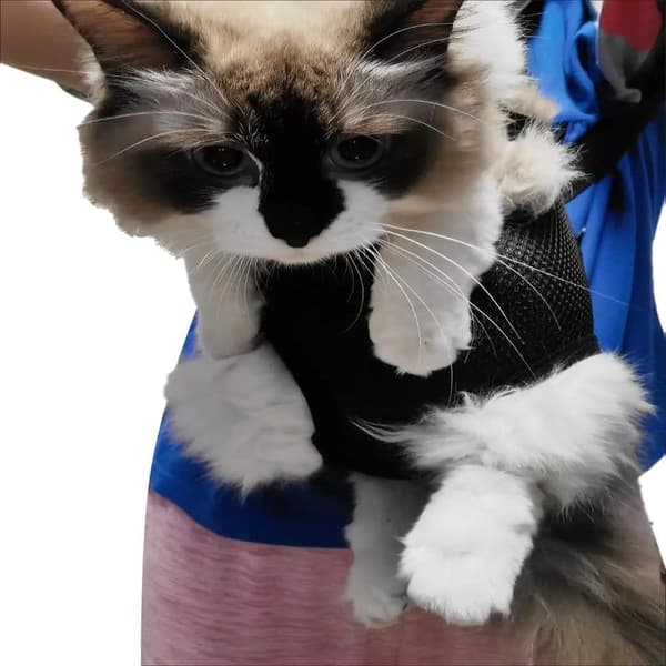 Pet Backpack - Adjustable, Front-Facing Backpack for Cats and Dogs with Extendable Legs. Easy to Take on Travel, Hiking, Camping