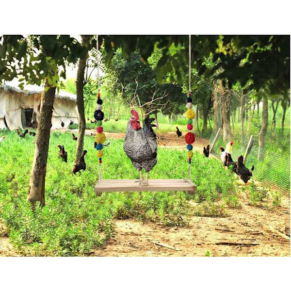Kanala-tarvikkeet Kanala-tarvikkeet Broiler-tikkaat