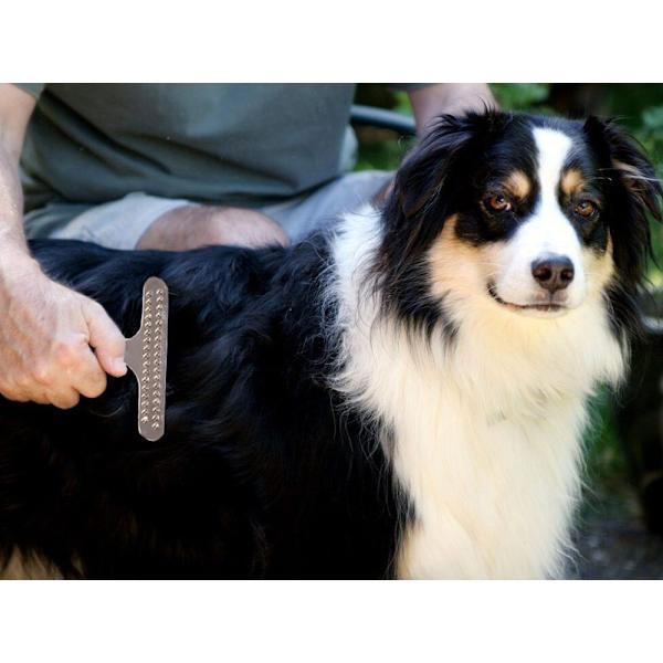 Kæledyrskam til hund og kat