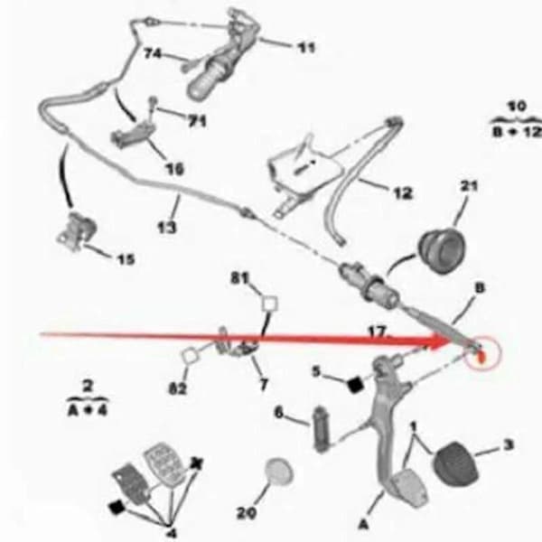 För Citroen Elysee C-Elysee C2 C3 C4 C5 C6 Bildelar 9676534480 Vit Loop Kopplingshuvudcylinder Clip