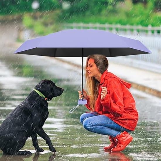 Compact Folding Umbrella, UV Protection Umbrella, Mini Umbrella Comes with a Travel Capsule Box, Waterproof and Windproof