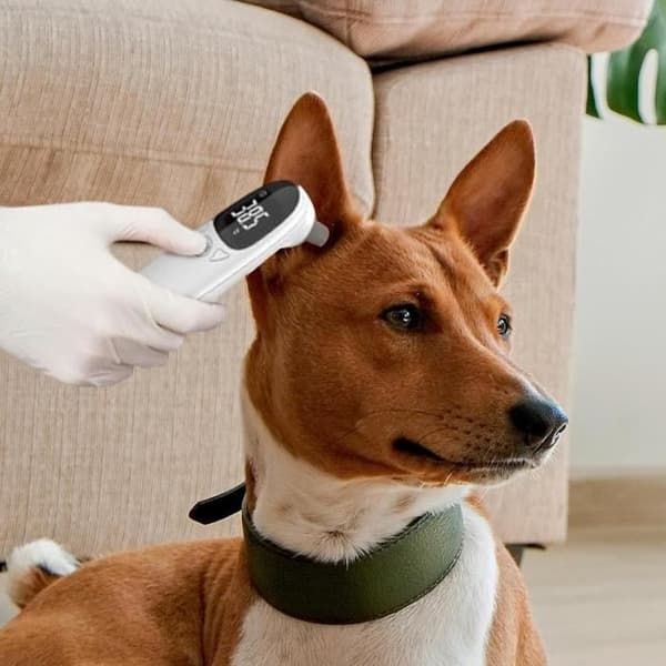 Kjæledyrtermometer - ABS-termometer - Øretemperaturmåler - USB oppladbart - Vanntett