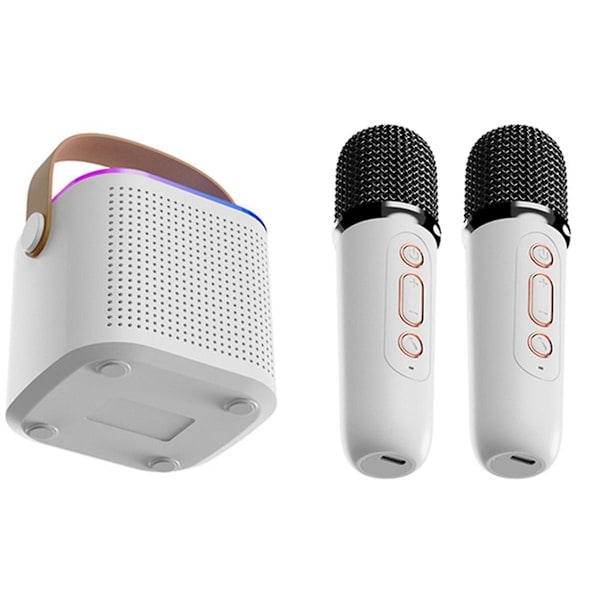 Kannettava Bluetooth 5.3 -kaiutinjärjestelmä kahdella langattomalla mikrofonilla, kotilaulukaiutin, valkoinen