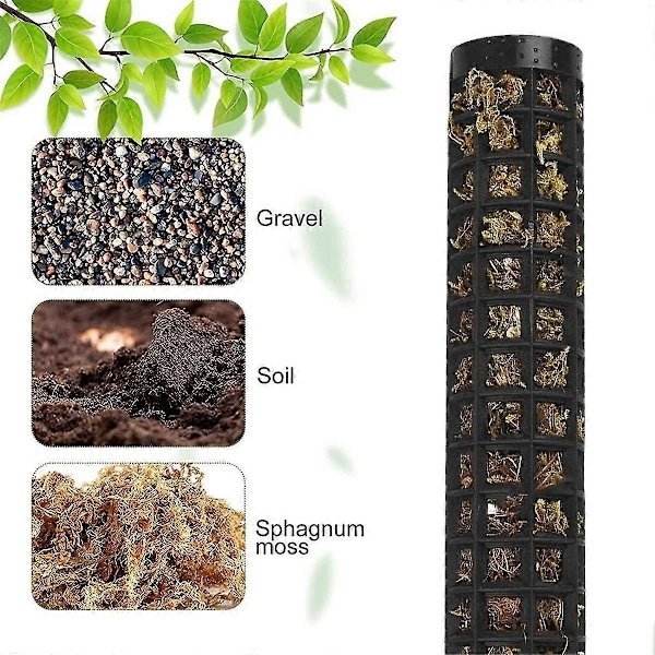 Monstera Spaljé, Moss Pinne, 6 Delar Växtstöd, Kokos för Inomhusväxter, Växtpinne, Moss Stolpe