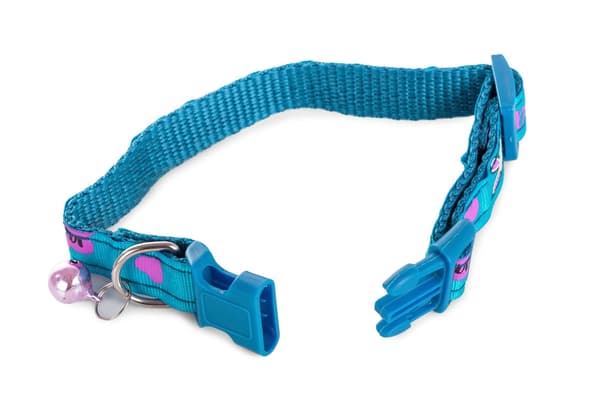 Dog Collar / Cat Collar - Collar with bell